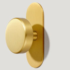 Plank Hardware Accessories Hook with Backplate HUDSON Shaker Hook - Brass