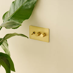 Plank Hardware Electric MAXWELL 3G Smooth Dimmer - Brass